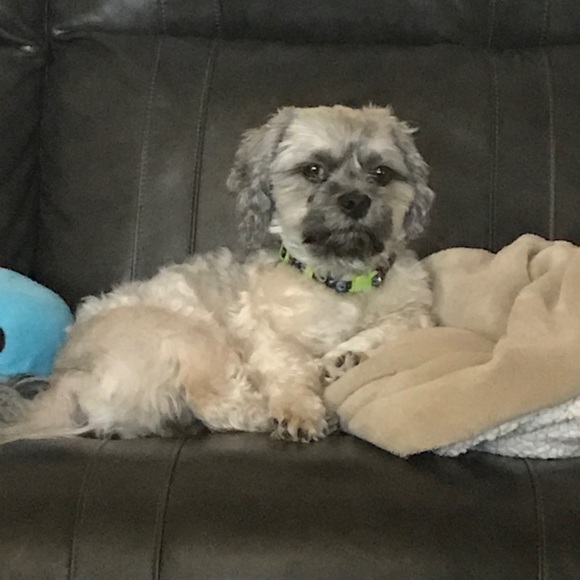 Meet your Posher, Scott - Picture 1 of 1